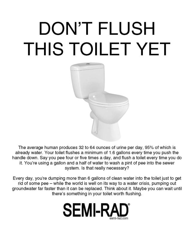 toilet