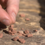 rocks