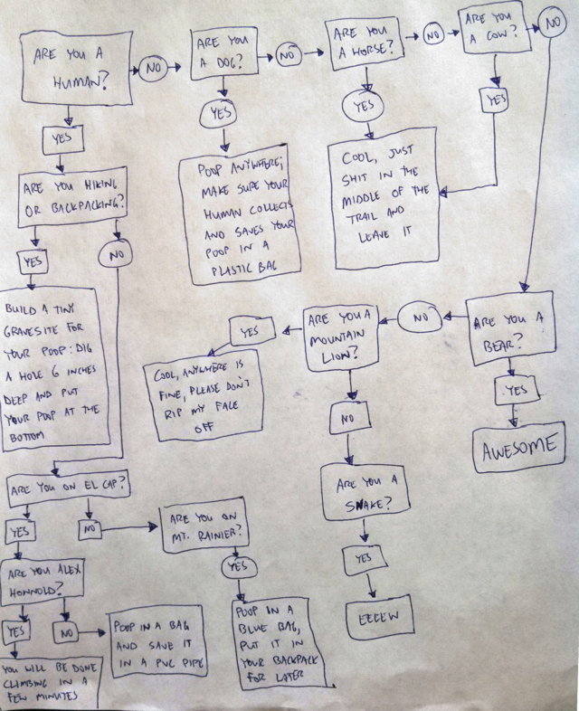 Pooping In The Outdoors: A Flow Chart