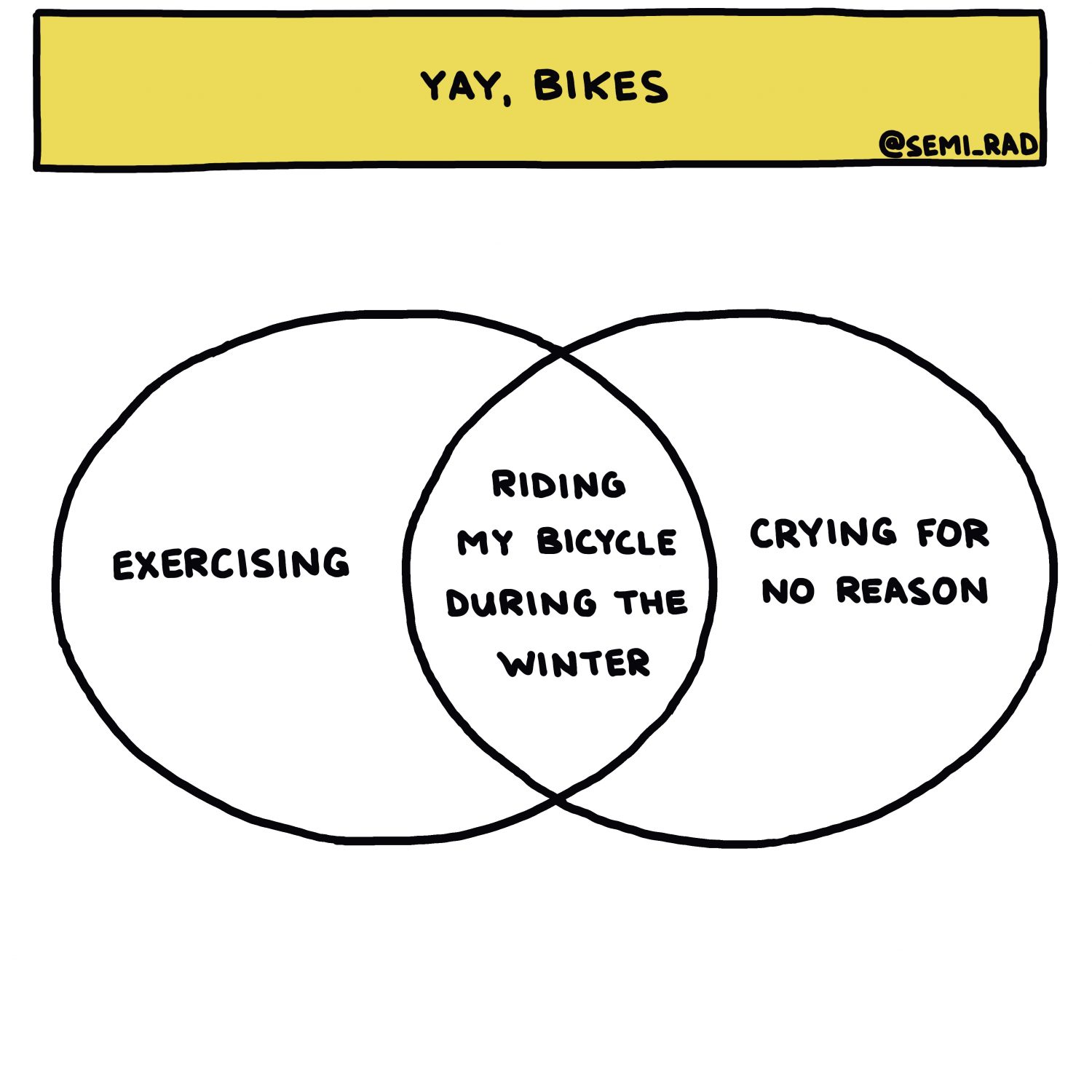 semi-rad chart: riding my bicycle during the winter