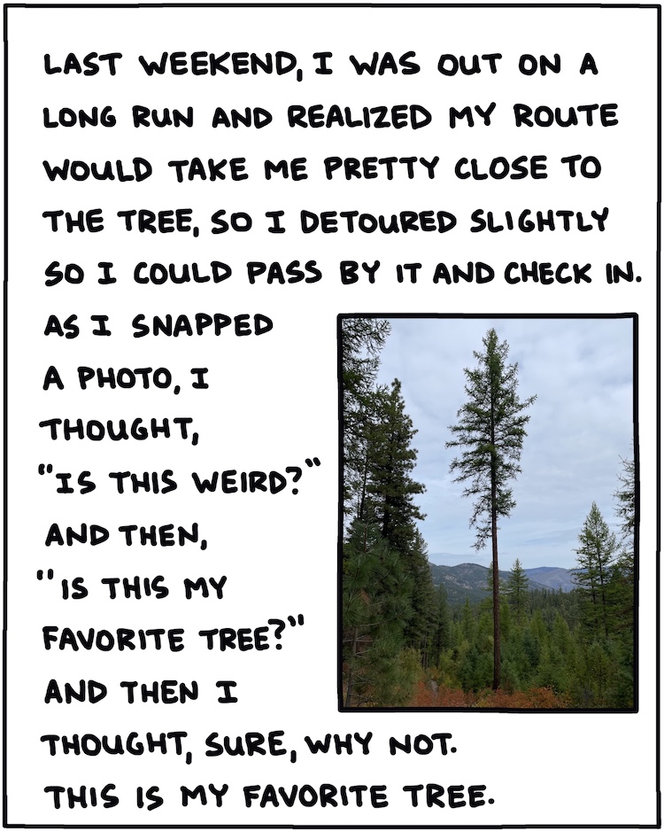 Last weekend, I was on out on a long run and realized my route would take me pretty close to the tree, so I detoured slightly to pass by it and check in. As I snapped a photo, I thought, 