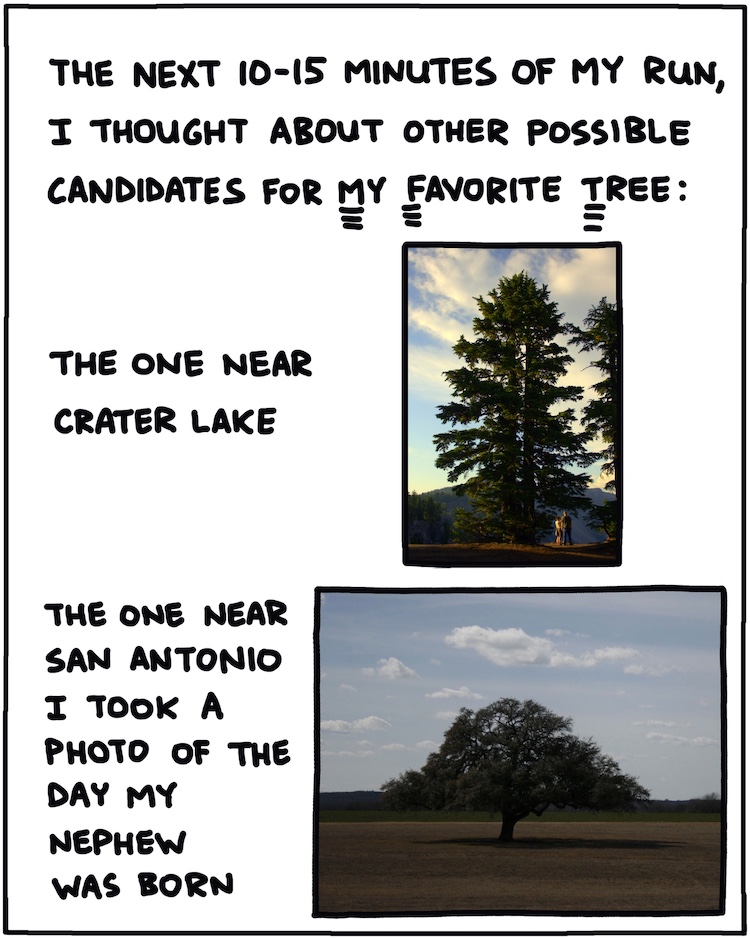 The next 10-15 minutes of my run, I thought about other candidates for My Favorite Tree: the one near Crater Lake the one near San Antonio I took a photo of the day my nephew was born 