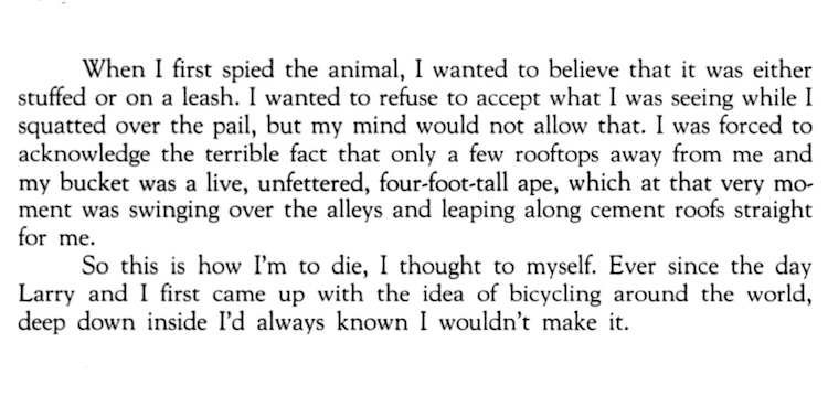 When I first spied the animal, I wanted to believe that it was either stuffed or on a leash. I wanted to refuse to accept what I was seeing while I squatted over the pail, but my mind would not allow that. I was forced to acknowledge the terrible fact that only a few rooftops away from me and my bucket was a live, unfettered, four-foot-tall ape, which at that very moment was swinging over the alleys and leaping along cement roofs straight for me. So this is how I'm to die, I thought to myself. Ever since the day Larry and I first came up with the idea of bicycling around the world, deep down inside I'd always known I wouldn't make it.