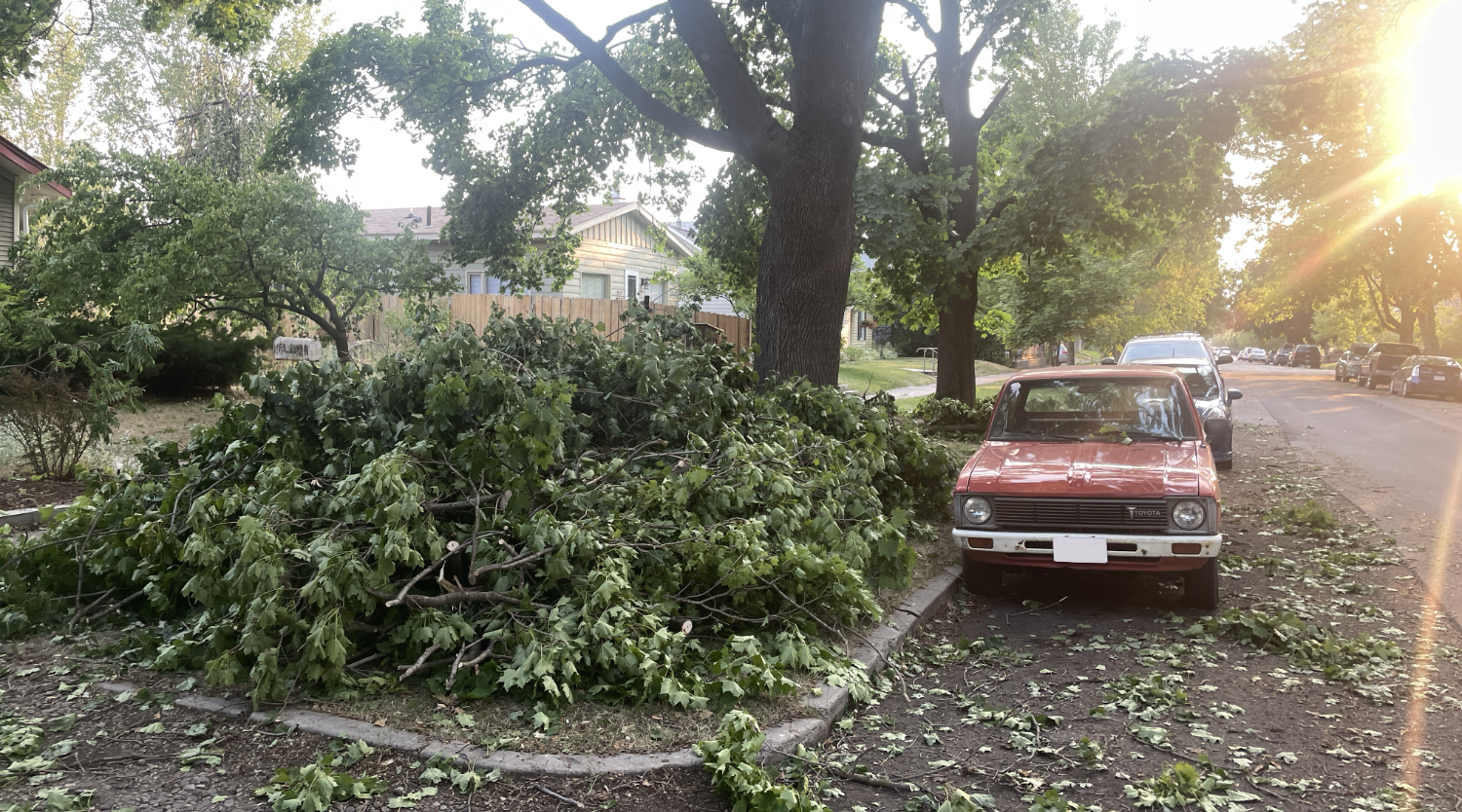 photo of downed branches and truck