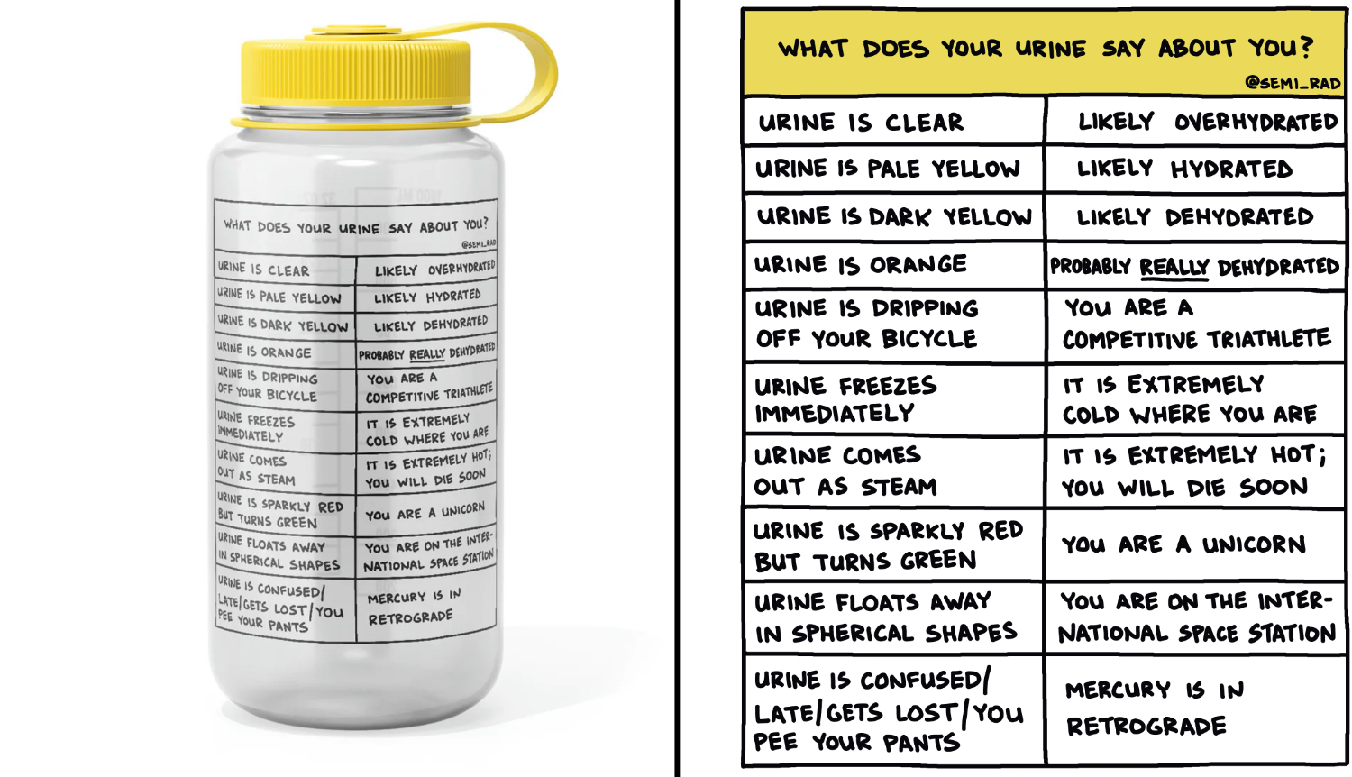 What Does Your Urine Say About You water bottle