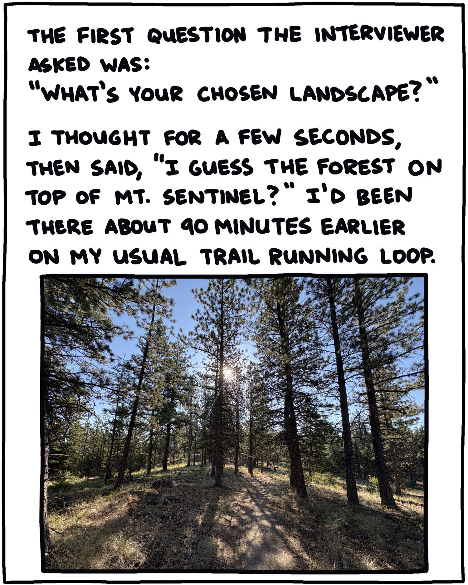 Photo of forest and text: The first question the interviewer asked was: “What’s your chosen landscape?” I thought for a few seconds, then said, “I guess the forest on top of Mt. Sentinel?” I’d been there about 90 minutes prior, on my usual trail running l