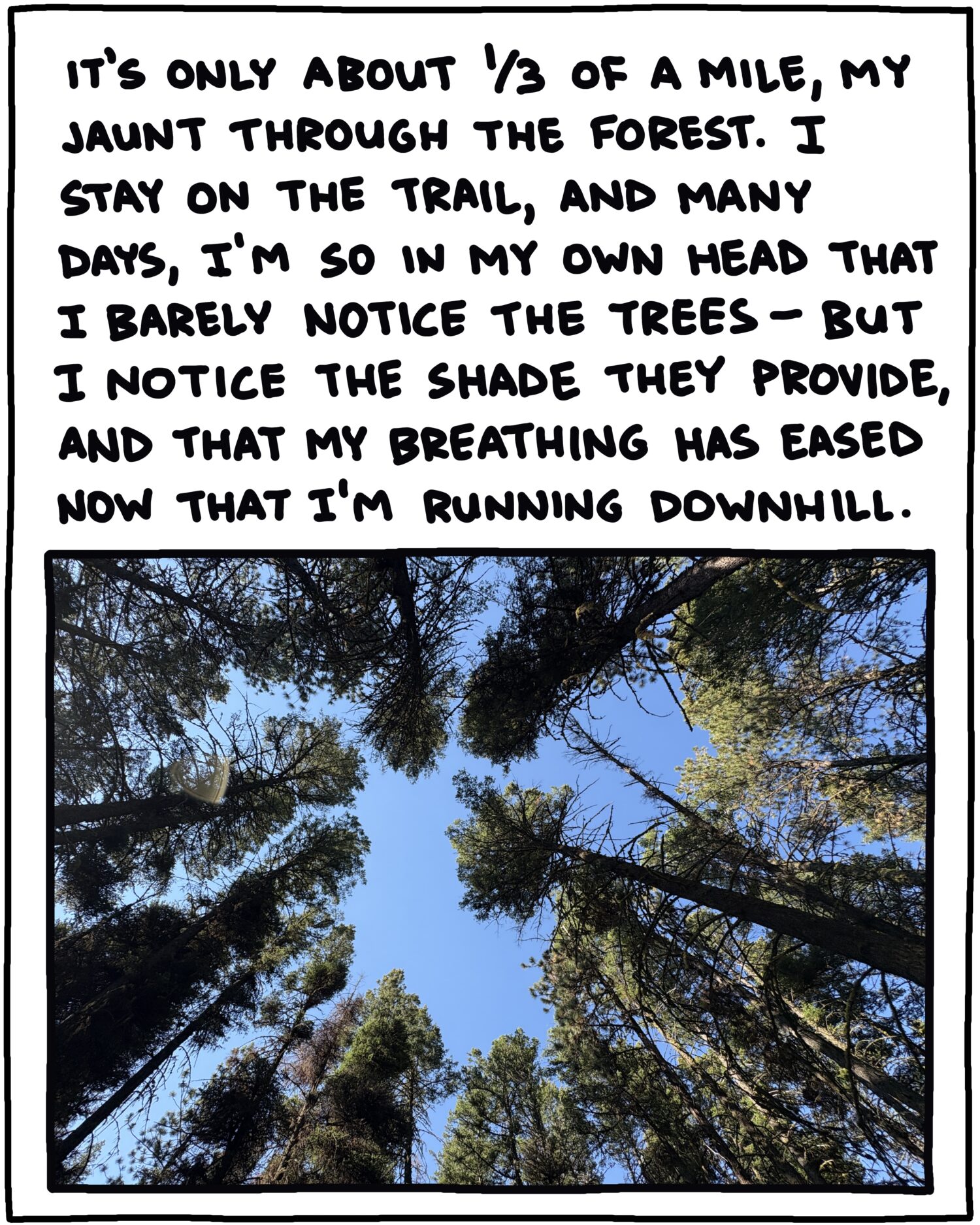 photo looking up into trees and text: It’s only about one-third of a mile, my jaunt through the forest. I stay on the trail, and many days, I’m so in my own head that I barely notice the trees—but I notice the shade they provide, and that my breathing has eased now that I’m running downhill. 