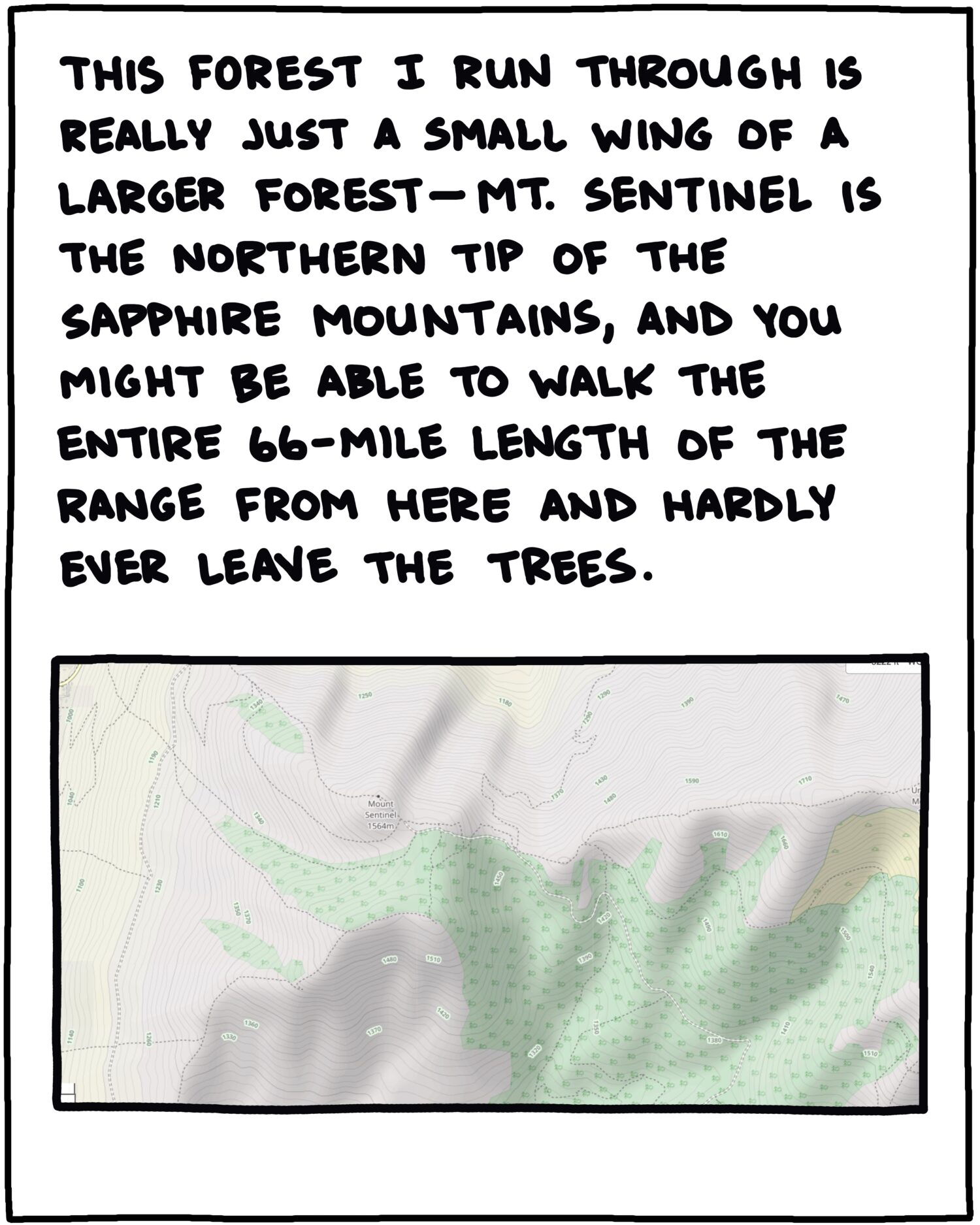 map of Mt. Sentinel and text: This forest I run through is really just a small wing of a larger forest—Mt. Sentinel is the north end of the Sapphire Mountains, and you might be able to walk the entire 66-mile length of the range from here and hardly ever leave the trees. 
