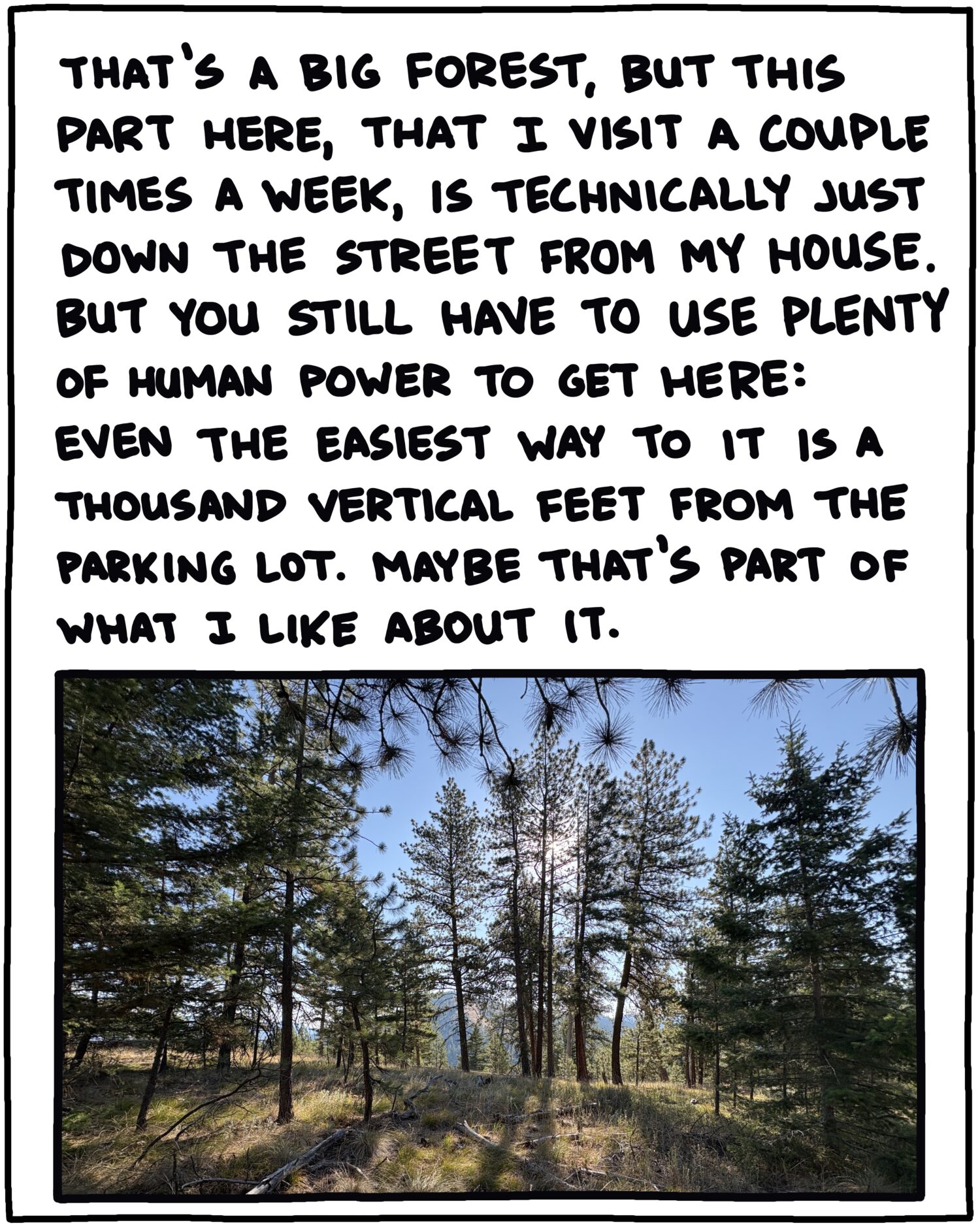 photo of trees and text: That’s a big forest, but this part here, that I visit a couple times a week, is technically right down the street from my house. But you still have to use plenty of human power to get here: Even the easiest way to it is a thousand vertical feet from the parking lot. Maybe that’s part of what I like about it.