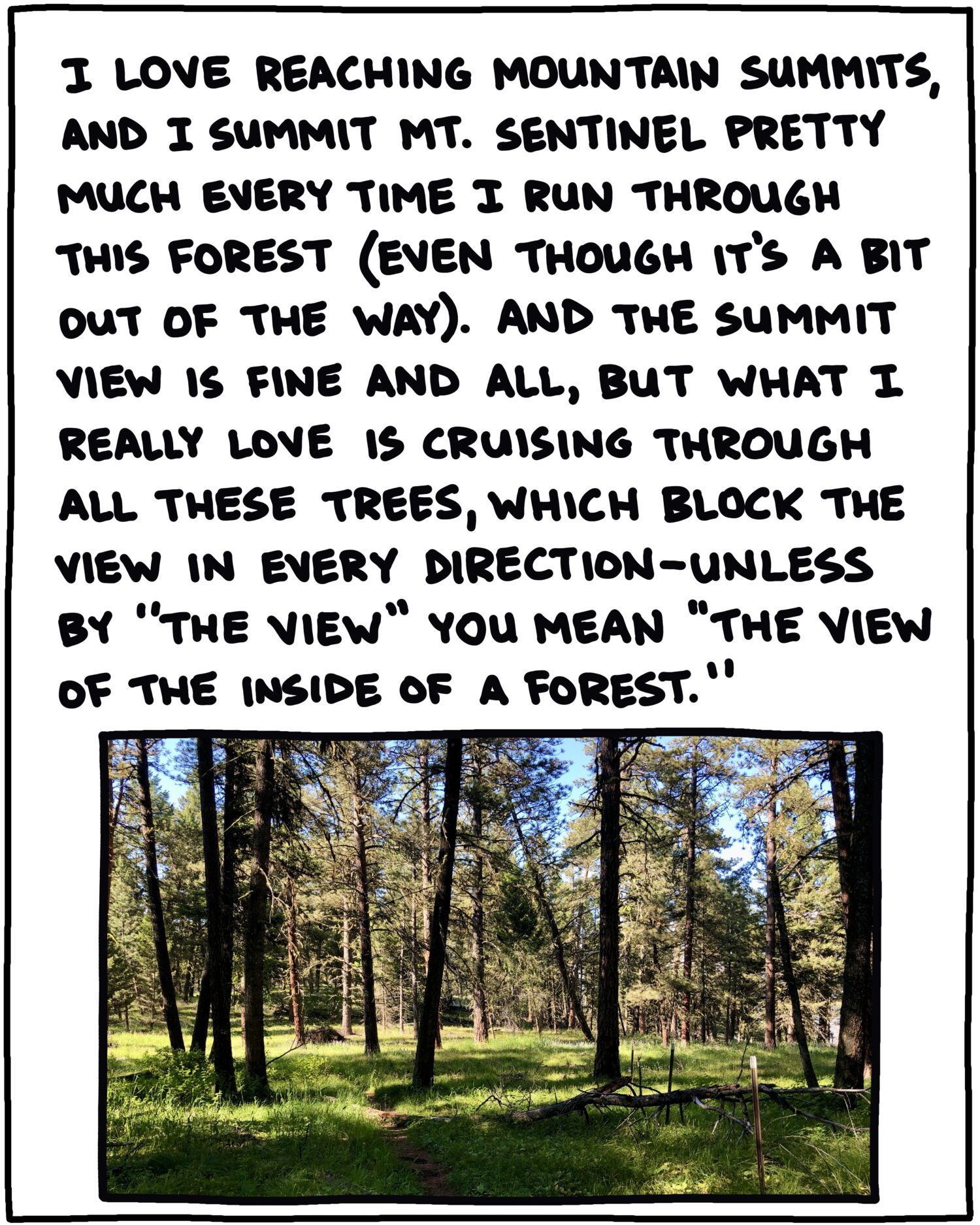 photo of trees and text: I love reaching mountain summits, and I summit Mt. Sentinel pretty much every time I run through this forest (even though it’s a bit out of the way). And the summit view is fine and all, but what I really love is cruising through all these trees, which block the view in every direction—unless by “the view” you mean “the view of the inside of a forest.” 