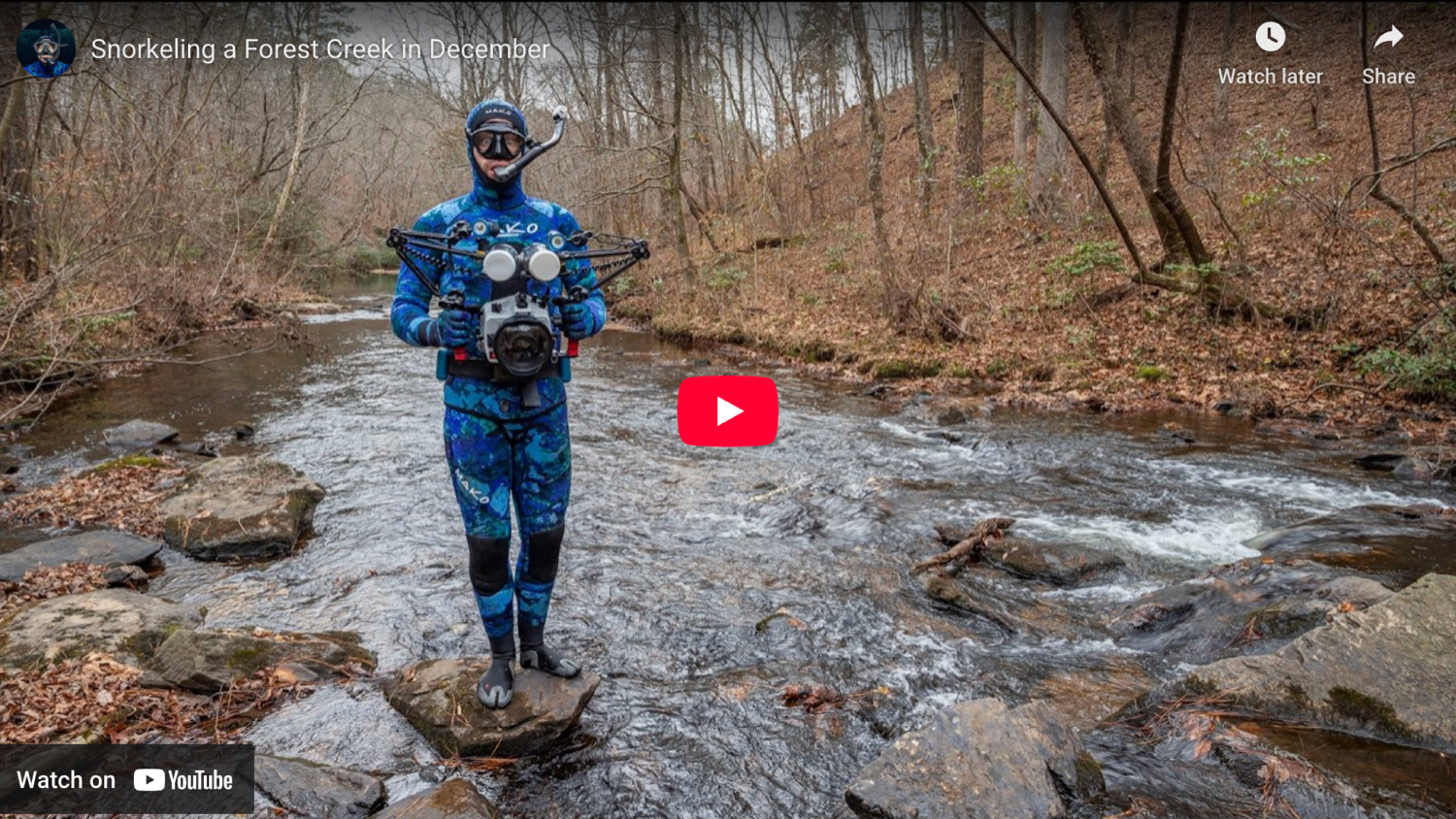 thumbnail from Snorkeling a Forest Creek in December