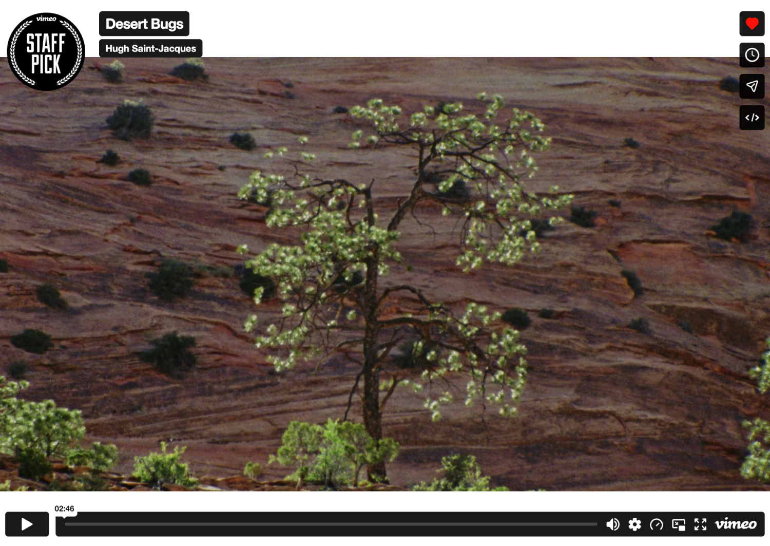 thumbnail from Desert Bugs