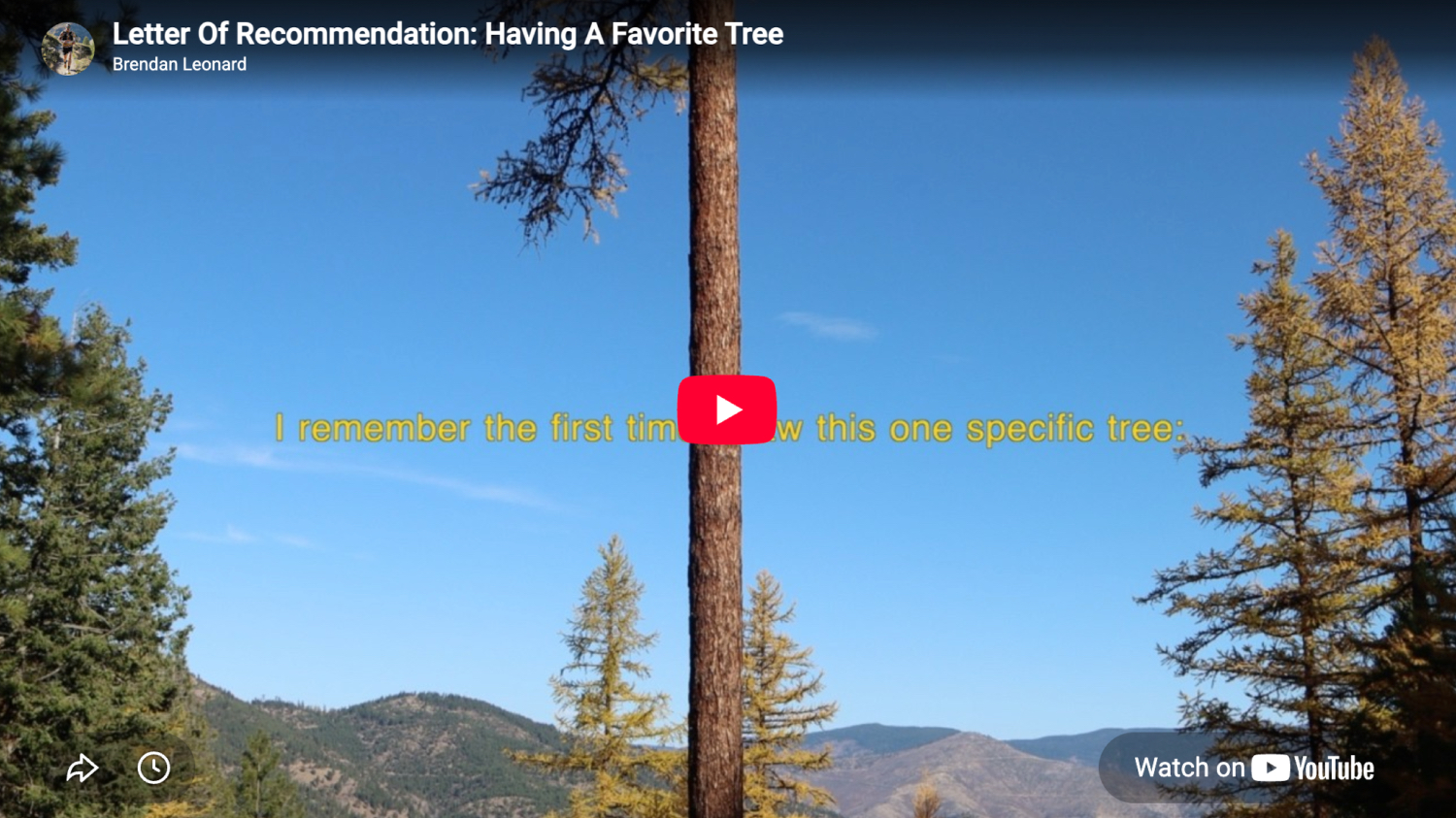 thumbnail from Letter Of Recommendation - Having A Favorite Tree